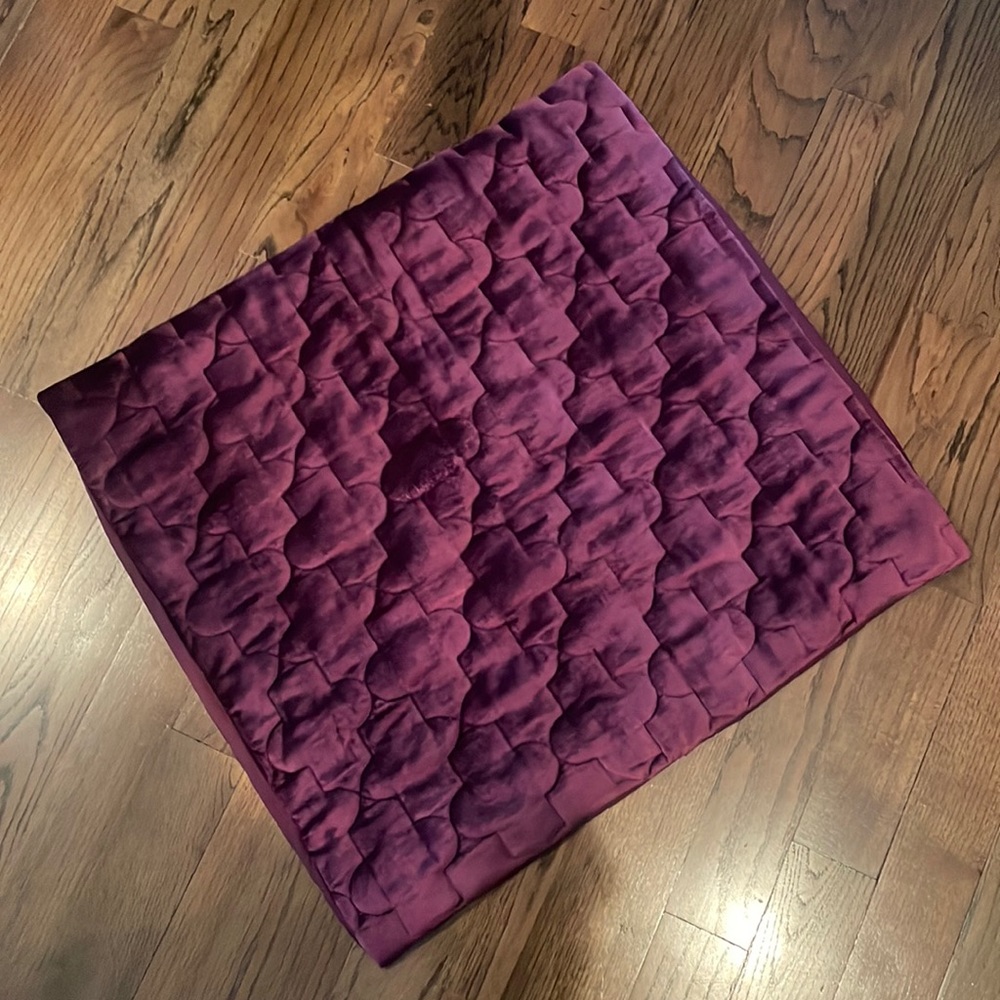 Grandinroad Quilted Velvet Euro Sham Pillow Cases (set of two)